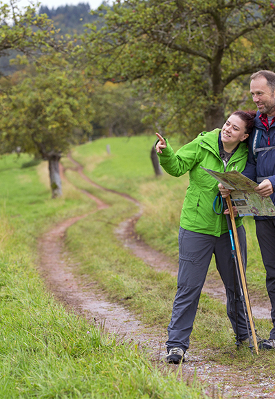 Wiesen am Heimathenhof - herrliche Fernsicht