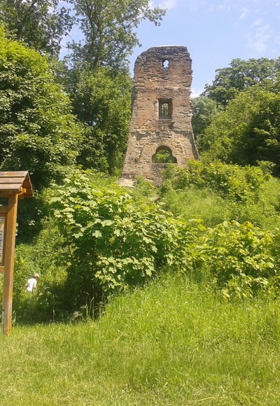 Die Ruine Speckfeld - traumhafter Picknickplatz