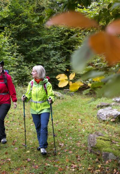 Wandern auf dem "Alten Schulweg"