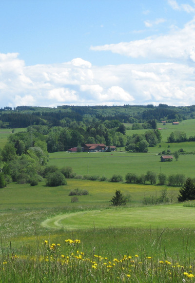 Wiesenlandschaft entlang der Leubas