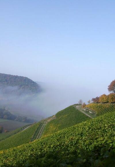 Die &quot;Schönste Weinsicht&quot; von Franken