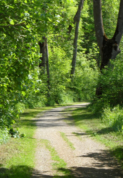 Unterweg ins Pforzen