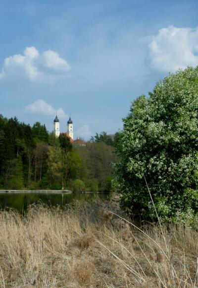 Weiher bei Roggenburg