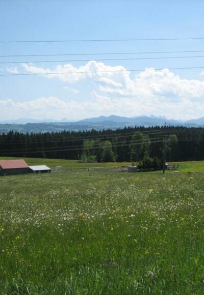 Schöne Wiesen und Panoramablick bei Hellengerst