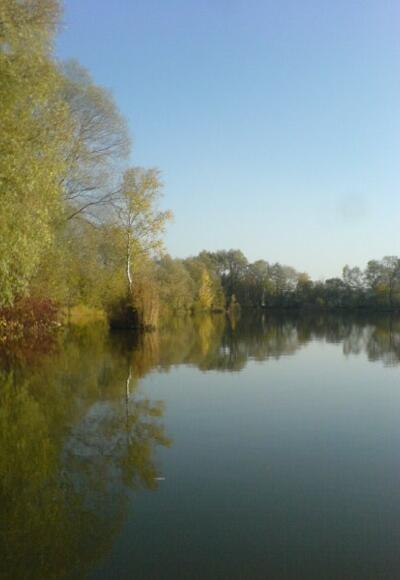 Guenz bei Babenhausen