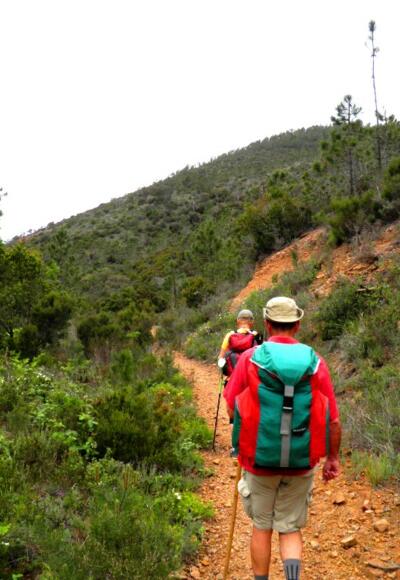 Pilgern - am liebsten single trails