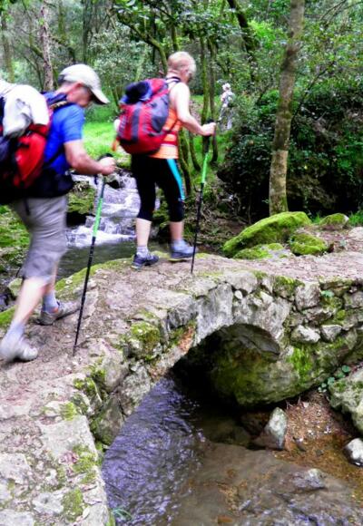 Pilgern - gemeinsam über Stock und Stein