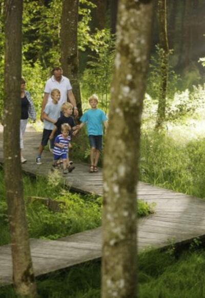 Walderlebnispfad Buxheim