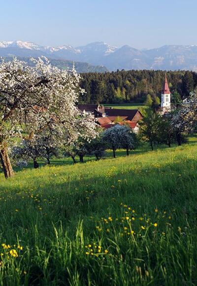 Blick ins Leiblachtal