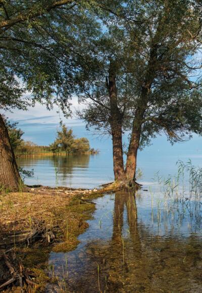 Naturschutzgebiet Rohrspitz