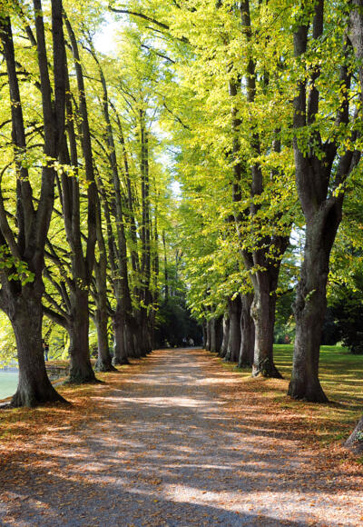 Lindenhofpark im Herbst