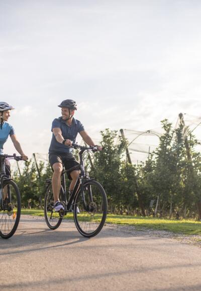 Radfahren, sonnig, Apfelplantage