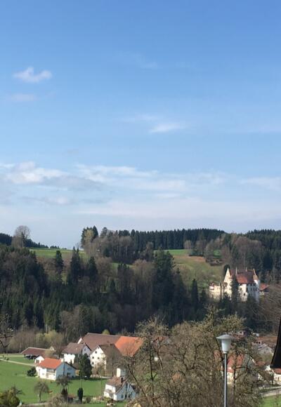 Blick von Eglofs aus das Schloss Syrgenstein