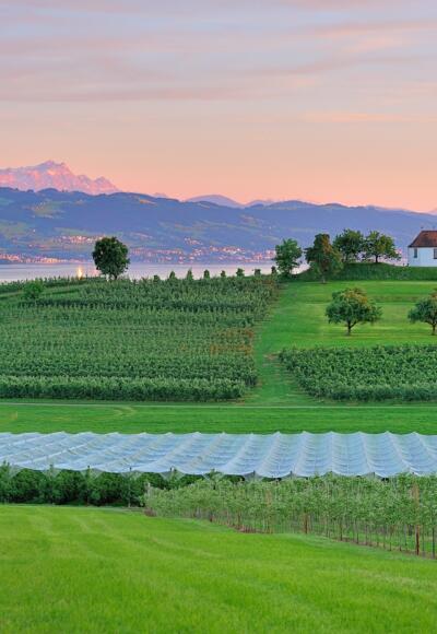 Blick zur Antoniuskapelle