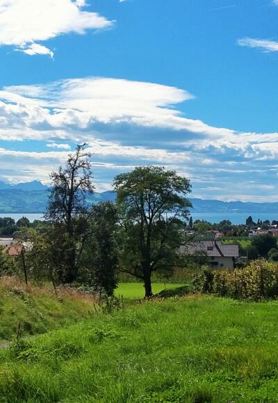 Blick von Bettnau zum Bodensee und Säntis