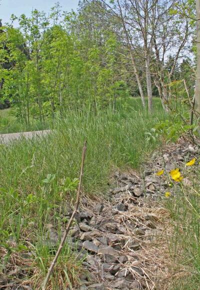 Radeln entlang der ehemaligen Bahntrasse