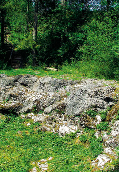 Ein Überbleibsel aus der Eiszeit - der Erratische Block.