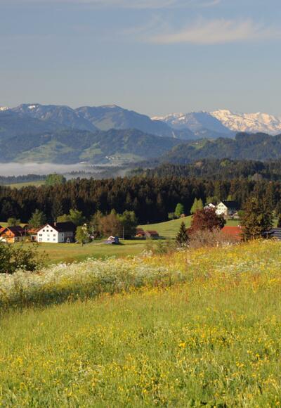 Aussicht auf die Nagelfluhkette