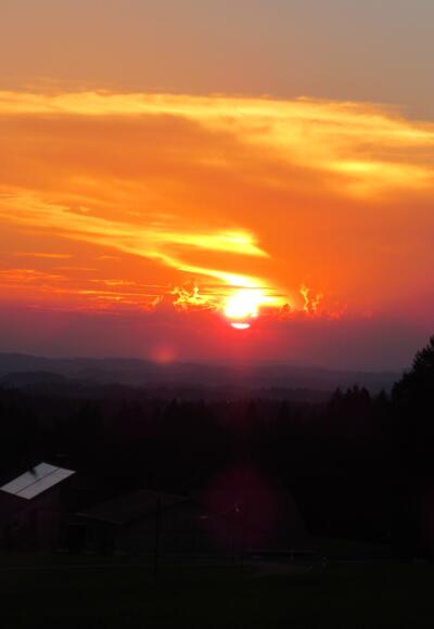 Sonnenuntergang Schweineburg