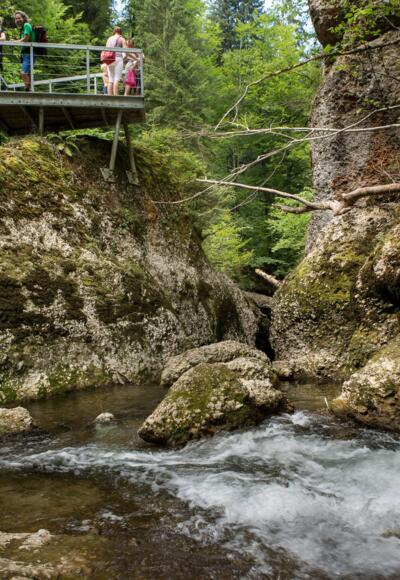 Aussichtsplattform am "Zwinger" im Eistobel
