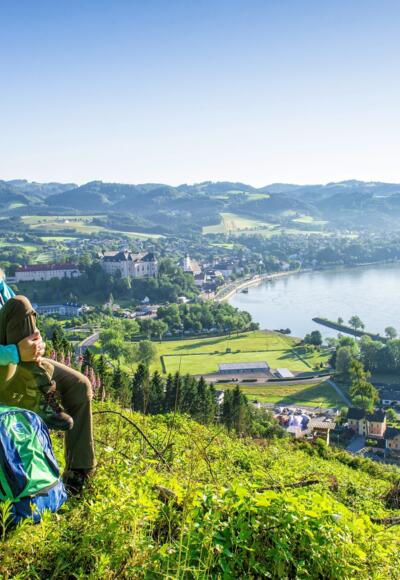 Donausteig - Blick auf Grein
