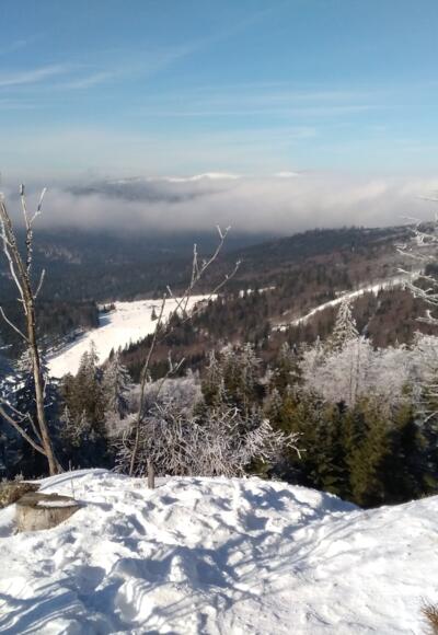 Blick vom Stinglfelsen nach Westen
