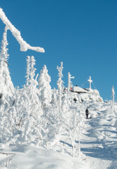 Blick zurück zum Gipfel vom Weg in Richtung Dreieckmark