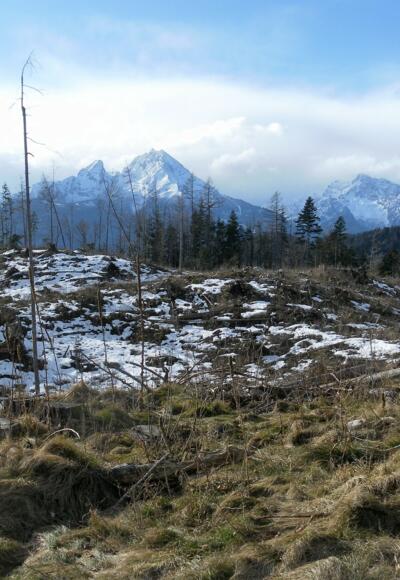 Watzmann und Hochkalter vom Nordgipfel