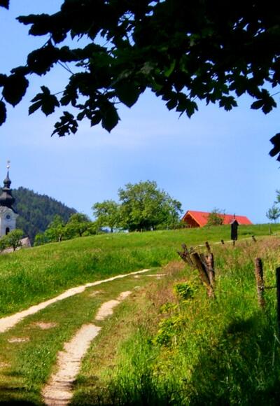 Kreuzweg Ulrichshögl