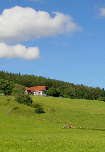 Högl-Runde von Norden