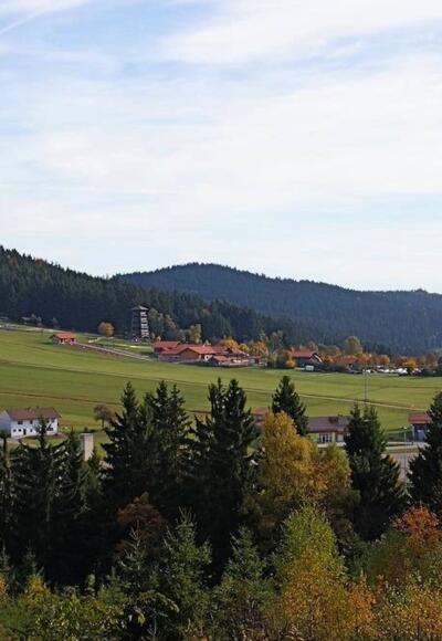 Blick zur Sommerrodelbahn vom Weg nach Grün