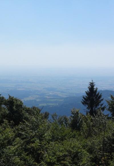 Blick vom Rauhen Kulm