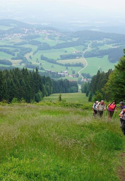 Prölleranstieg vor dem Gipfel mit Blick nach Kollnburg