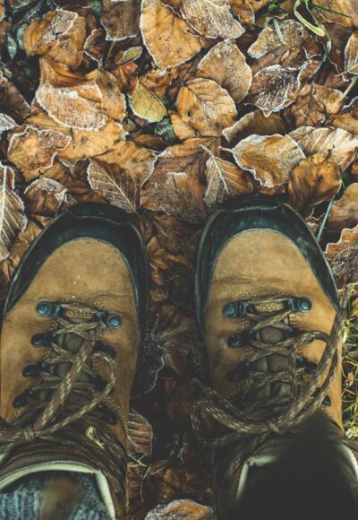 Wanderung zur Poschenriederhütte