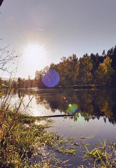 Flusswanderweg Regen/Zwiesel
