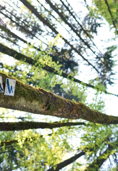 Flusswanderweg Bayerisch Eisenstein