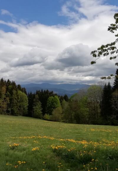 Panoramaregion Patersdorf