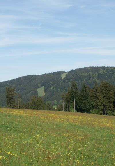 Pröller von Maibrunn am Weg nach Klinglbach