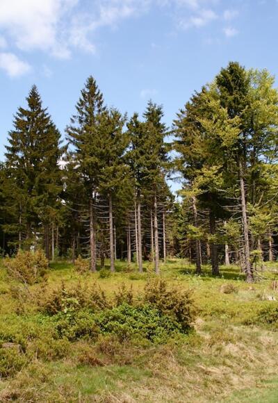 Wegabschnitt im Anstieg