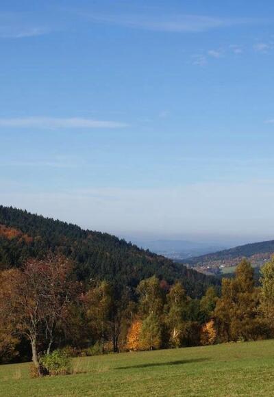 Blick vom Wanderweg nach St. Bernhard durchs Klinglbachtal