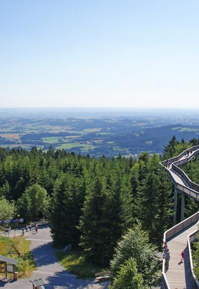 WaldWipfelWeg in Maibrunn