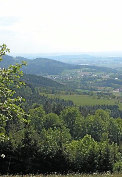 Aussicht von Hagnberg