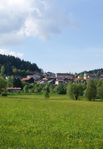 Blick über die Kurparkwiesen nach St. Englmar