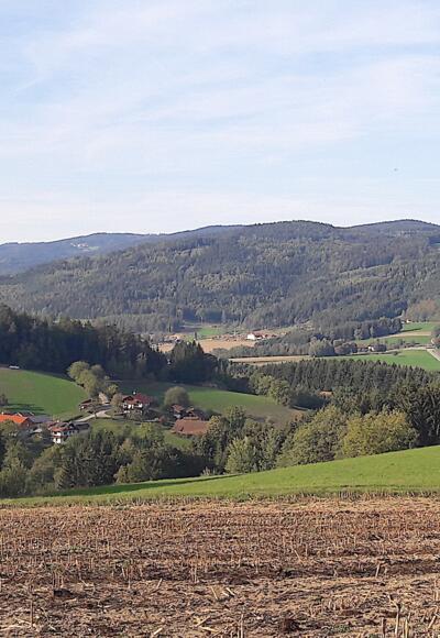 Blick vor Wolfessen Richtung Neukirchen zum Hadriwa und Pfarrerberg
