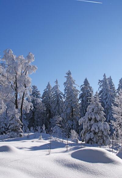 Am Hochberg-Südgipfel