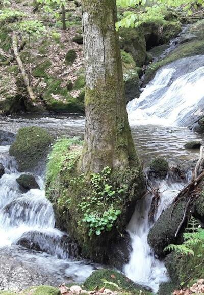 Nagelsteiner Wasserfälle