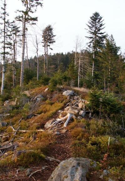 Hadriwa-Höhenweg (Alternativ-Weg)