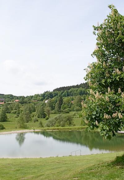 Naturbadeweiher
