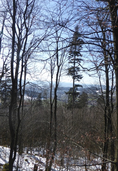 Blick vom Schlossberg