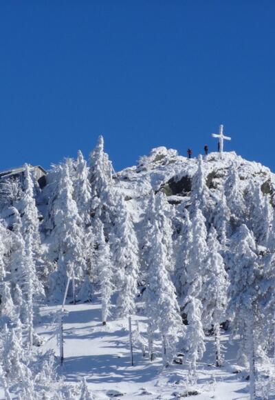 Blick auf den Großen Osser